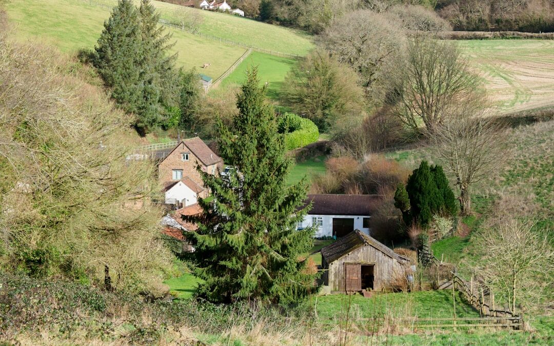 property for sale perthshire