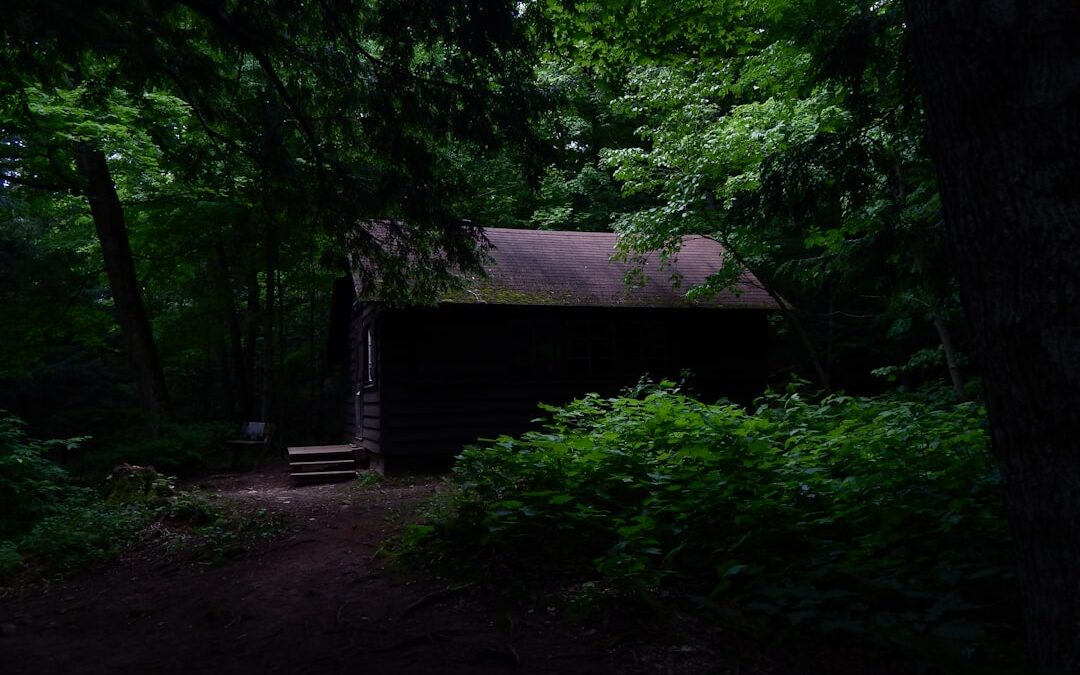 cabin rentals near me