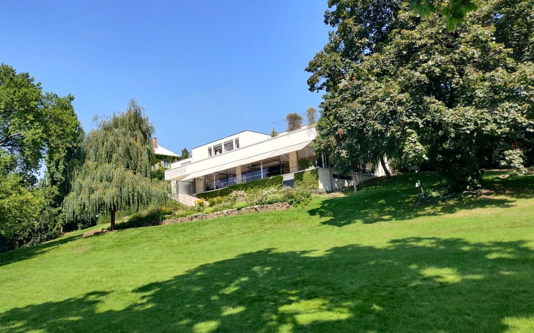 duplexes available for rent